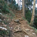 石老山の登山道