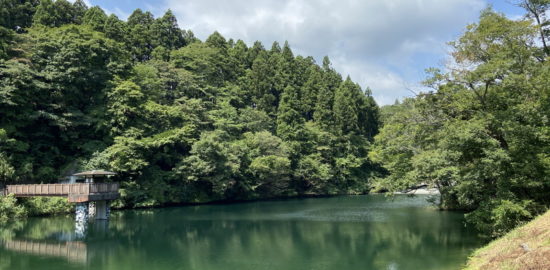 八重桐の池