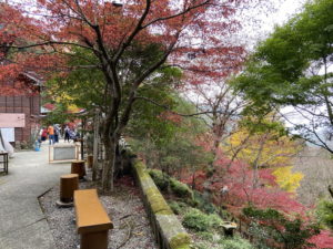 大山寺の紅葉 (神奈川県)