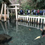 鹿島神宮「御手洗池」