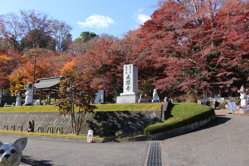 永源寺 茨城の もみじ寺 真っ赤なモミジ尽くしを楽しもう 国内観光500箇所