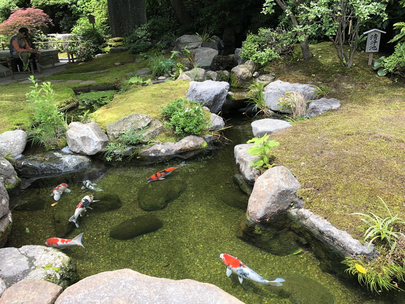 鎌倉 長谷寺 鎌倉の西方極楽浄土を再現しているとも 国内観光500箇所