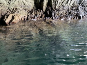 青の洞窟 (浄土ヶ浜)