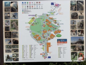 旭山動物園 