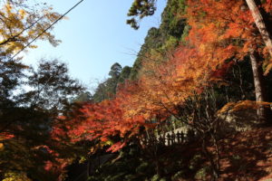 箸蔵寺の紅葉