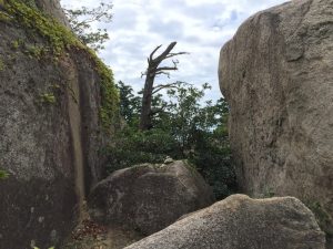 弥山山頂の巨石